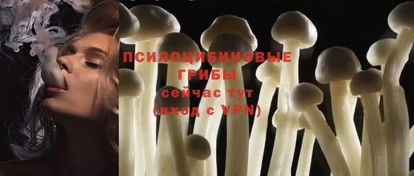ECSTASY Магадан