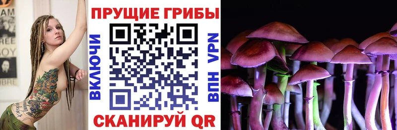 Галлюциногенные грибы Cubensis  как найти закладки  Бийск 