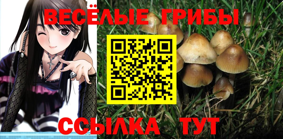 Галлюциногенные грибы Magic Shrooms Бийск