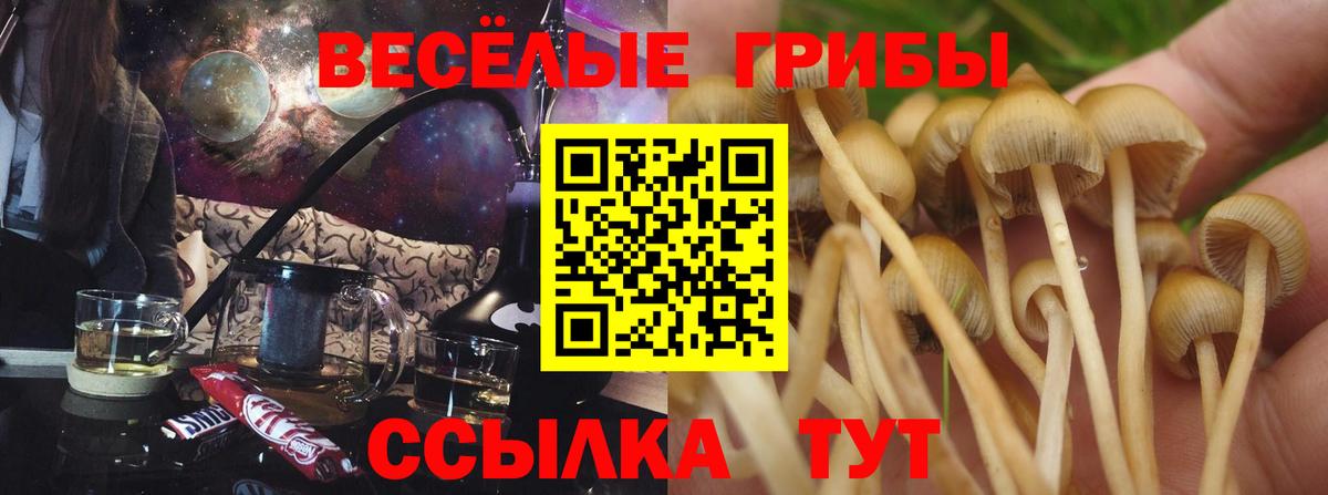 Каннабис  Бийск  Вход с VPN  Кокаин  МЕФ кристаллы  Гашиш  А ПВП СОЛЬ  