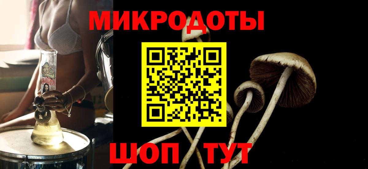 Галлюциногенные грибы MAGIC MUSHROOMS Бийск